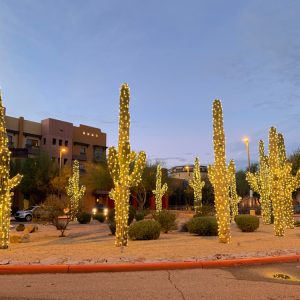 Commercial,Building,With,Large,Saguaro,Cactus,Lit,For,Holidays