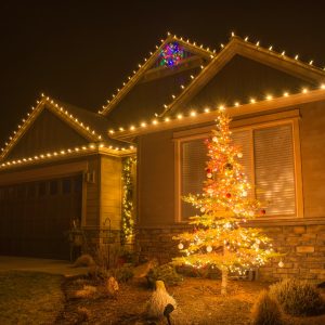 Christmas,Lights,On,Houses,And,Trees